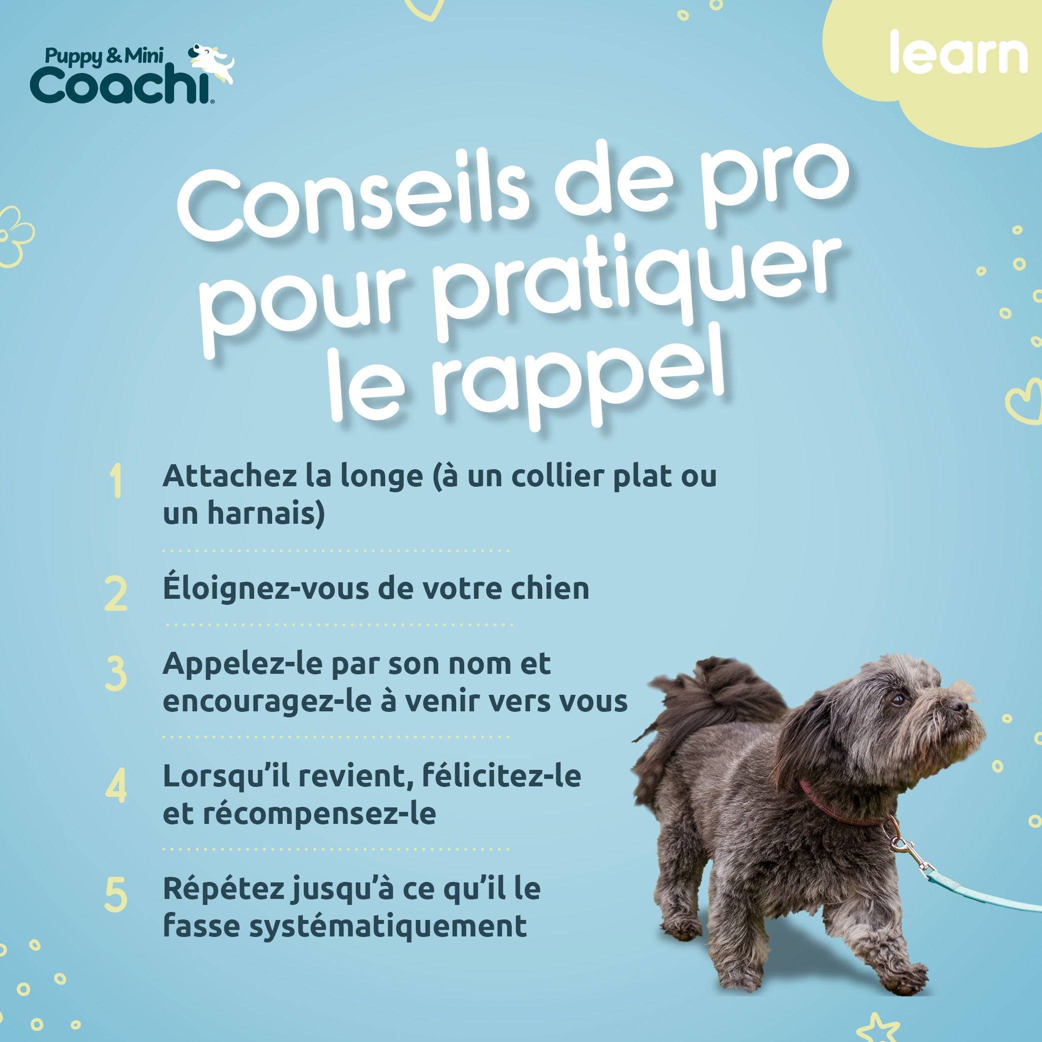 Longe imperméable pour chiots et chiens de petite taille