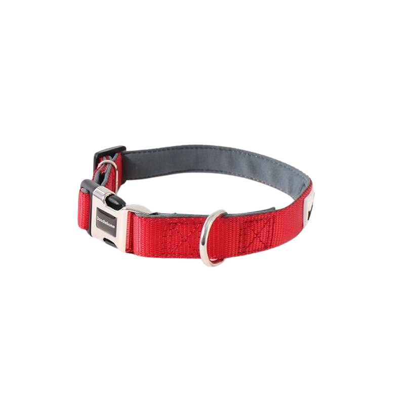 Collier réglable rembourré pour chiens