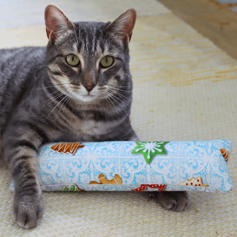 Coussin à l’herbe à chat en tissu