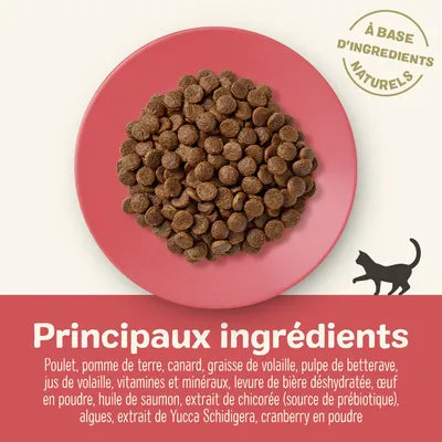 Croquettes au poulet et canard pour chats adultes