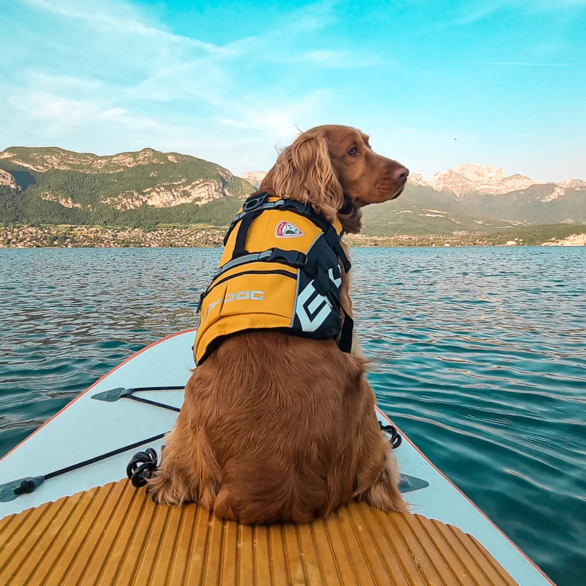 Gilet de sauvetage pour chiens