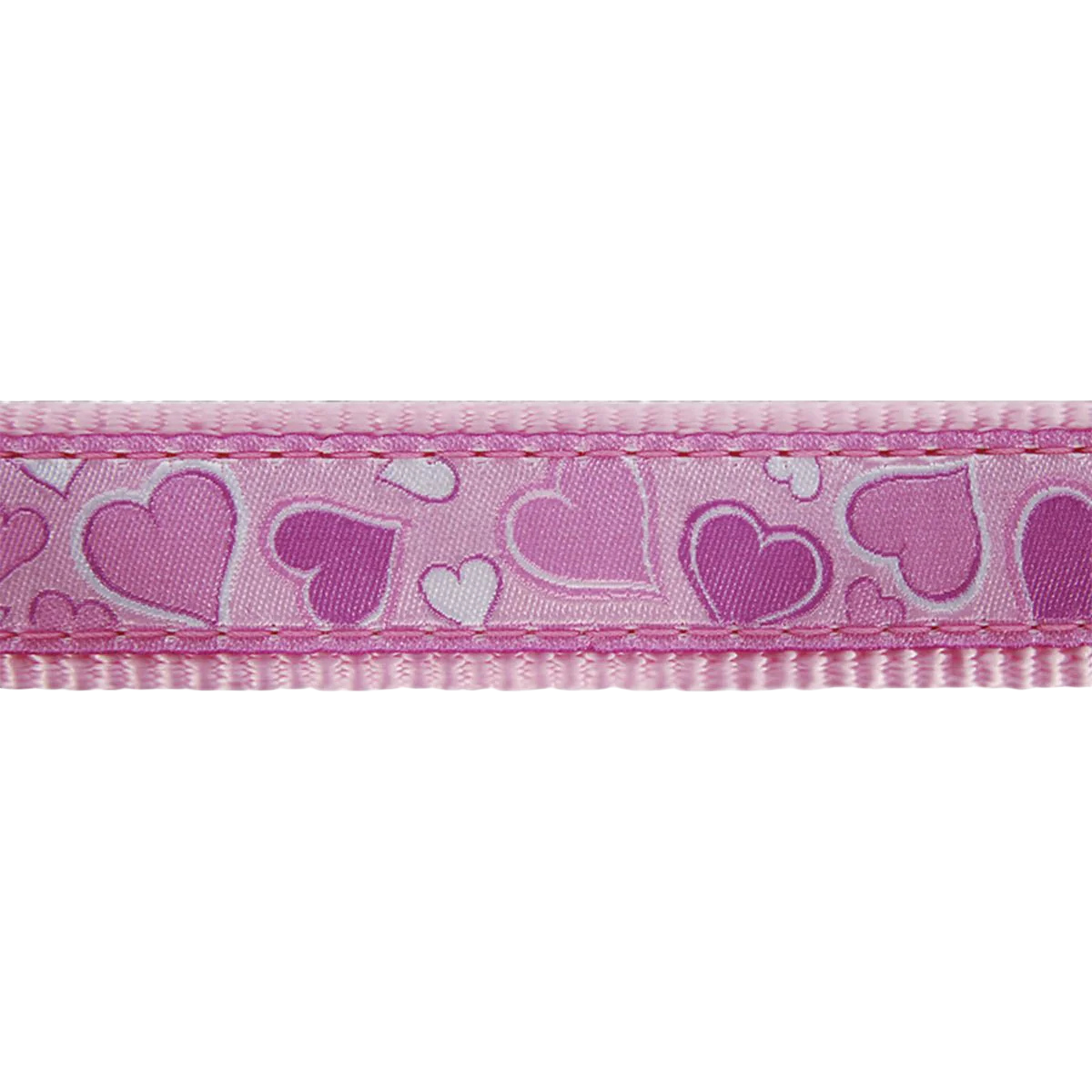 Kit collier, harnais et laisse Breezy Love pour chiots