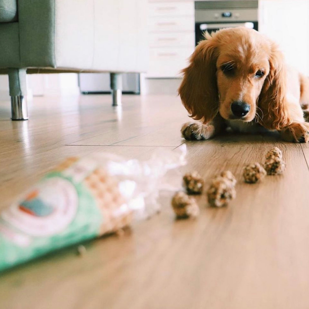 Cornet de friandises au porc et à la sardine pour chiens