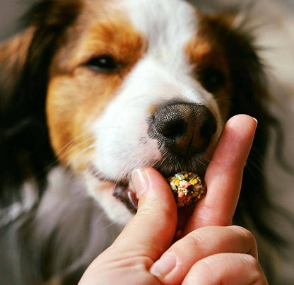 Friandises croquantes dinde et sardine pour chiens
