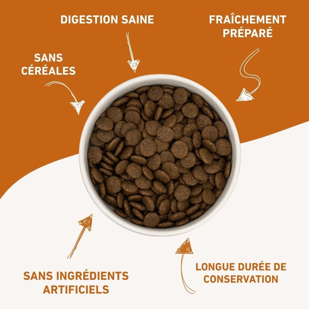 Croquettes au bœuf Angus pour chiens adultes