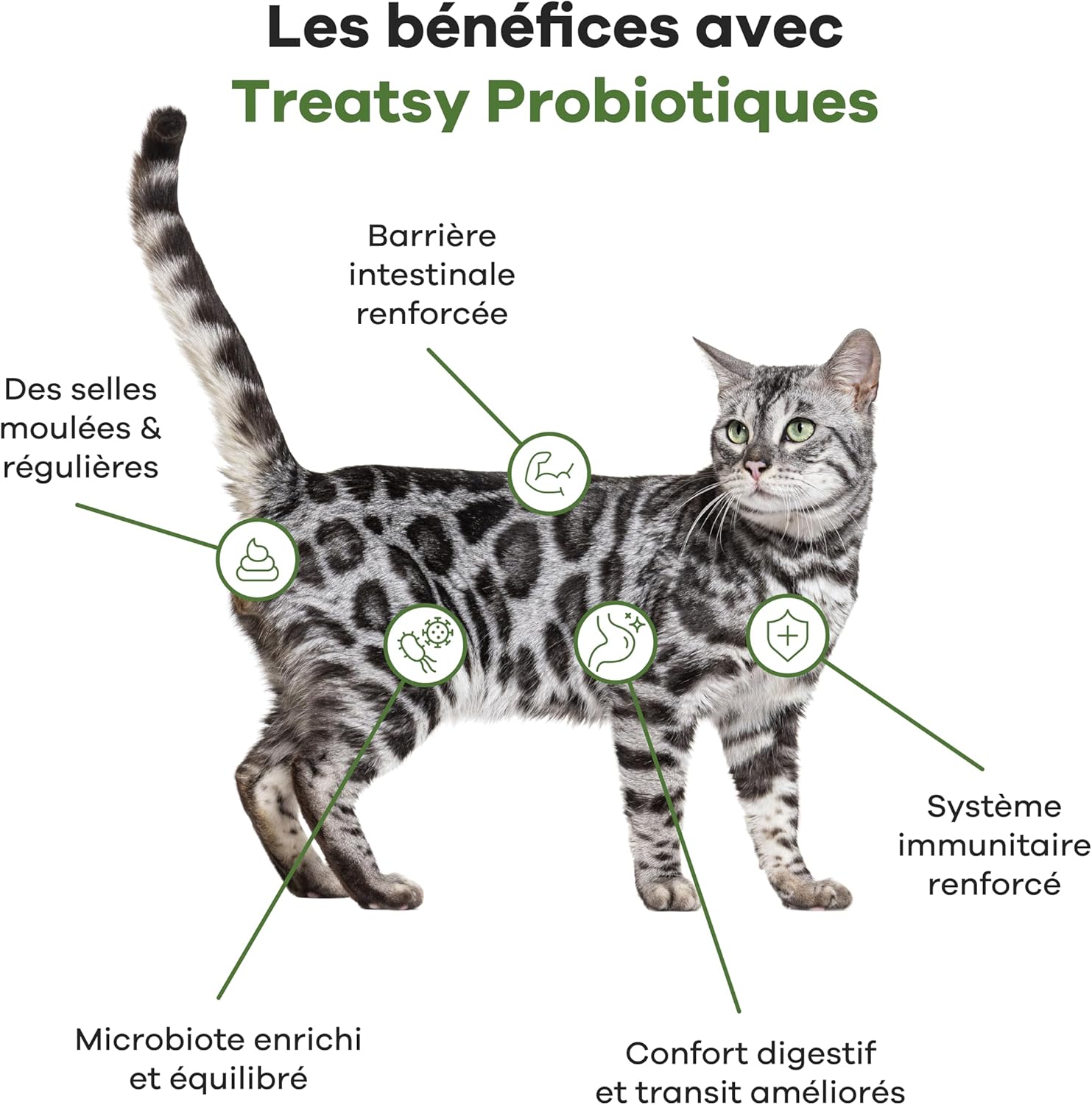 Complément alimentaire probiotiques au poisson et poulet pour chats