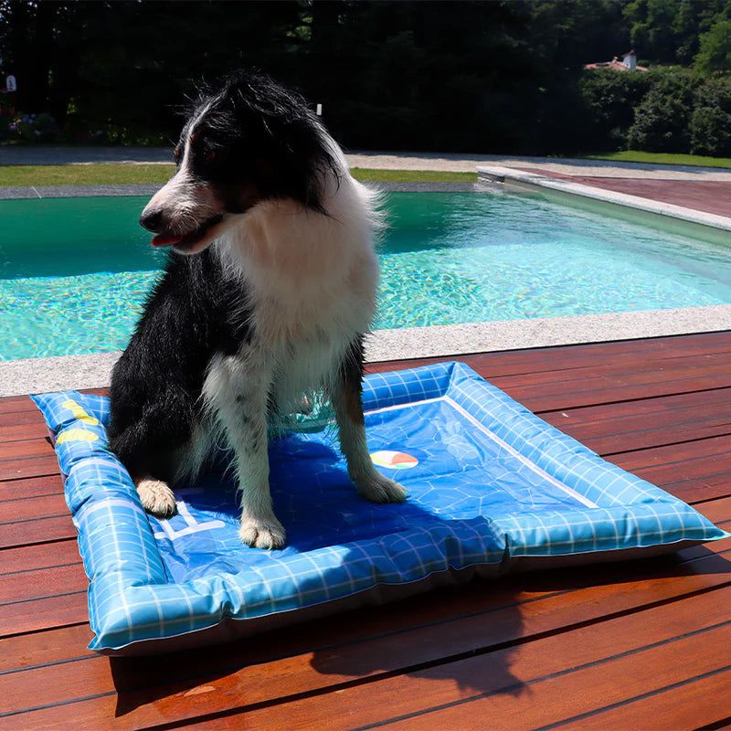 Tapis rafraîchissant motif piscine pour chiens