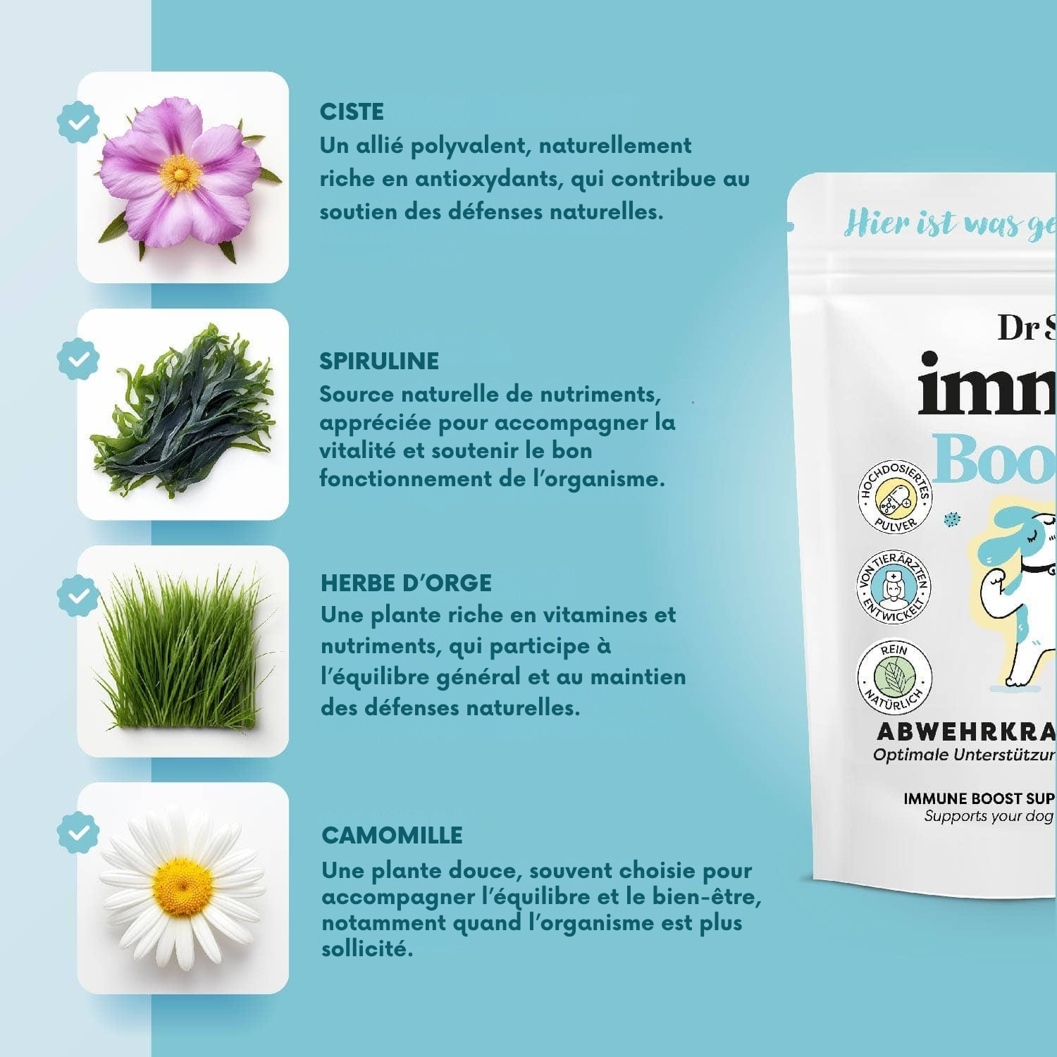 Poudre de soutien immunitaire à base de plantes