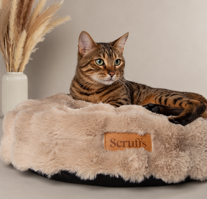 Coussin rond douillet pour chats et petits chiens