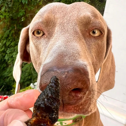 Cœurs de poulet séchés à l'air pour chiens