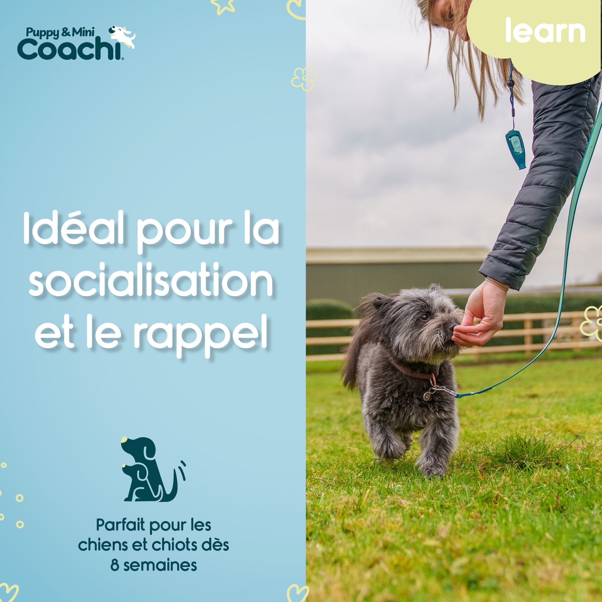 Longe imperméable pour chiots et chiens de petite taille
