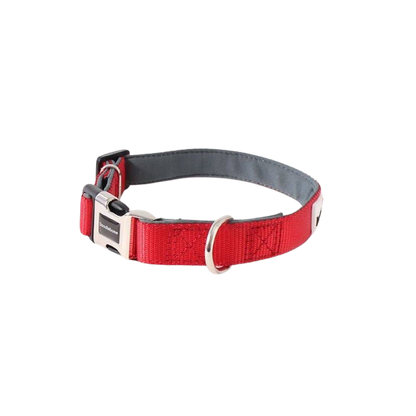 Collier réglable rembourré pour chiens