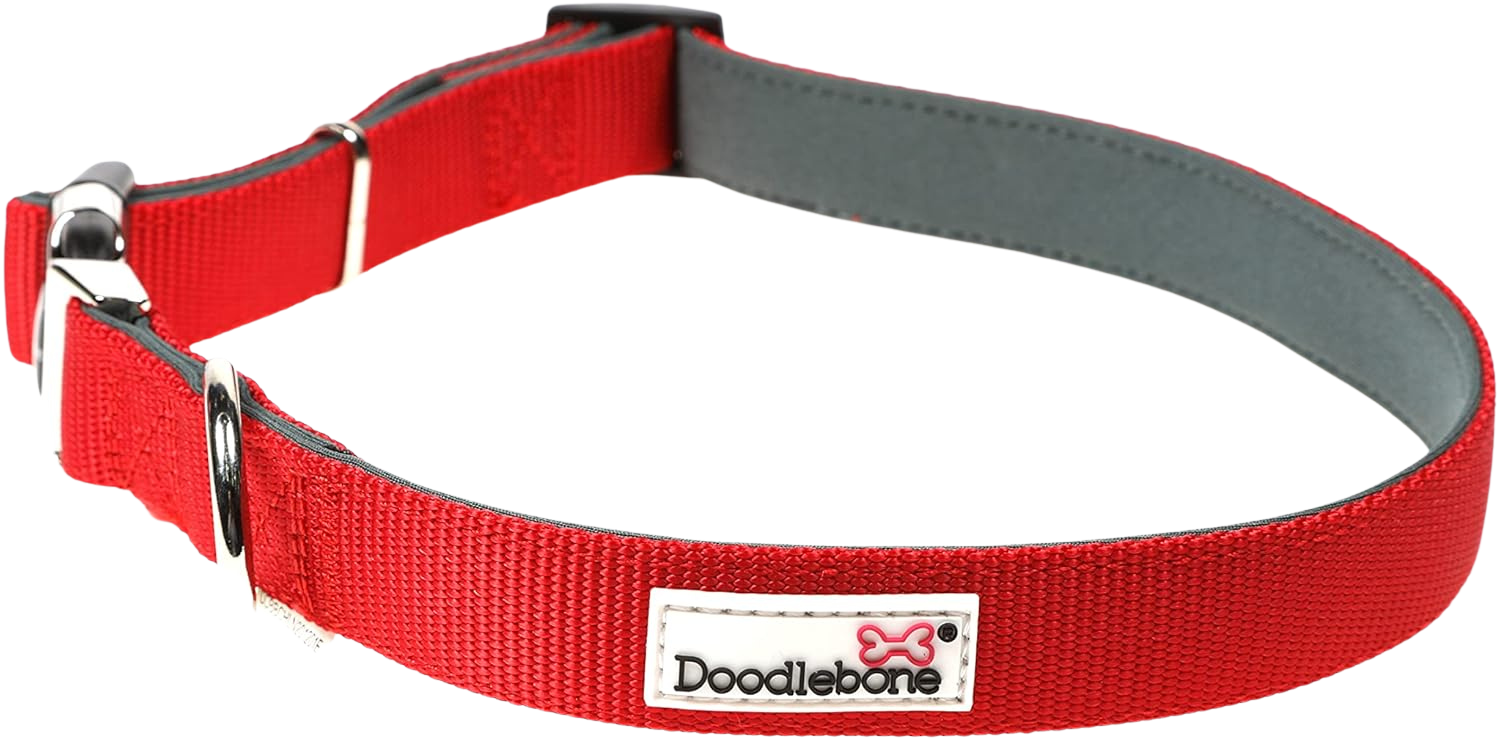 Collier réglable rembourré pour chiens