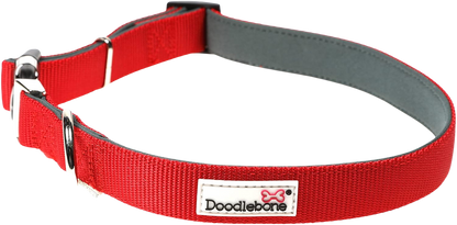 Collier réglable rembourré pour chiens