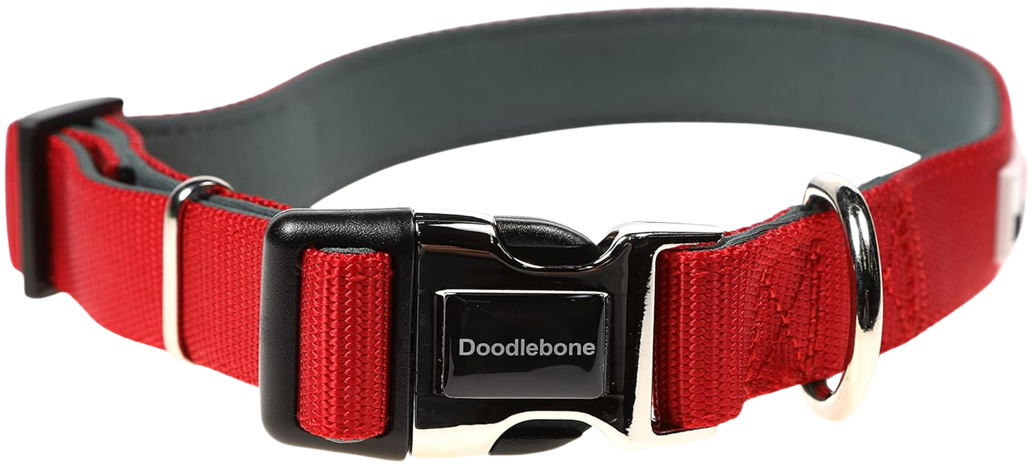 Collier réglable rembourré pour chiens