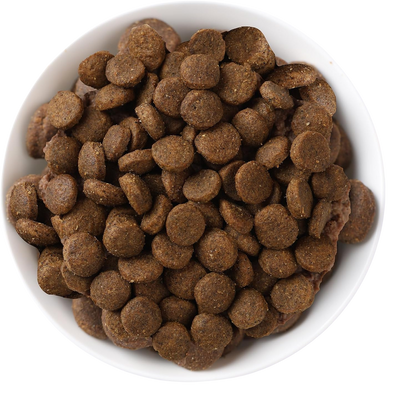 Croquettes caille et quinoa pour petits chiens adultes
