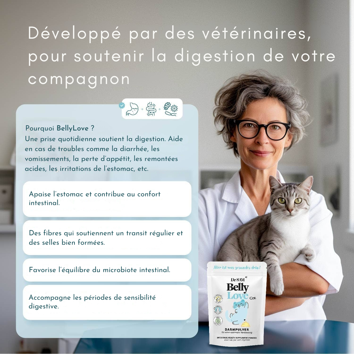 Poudre intestinale à base de plantes pour chats