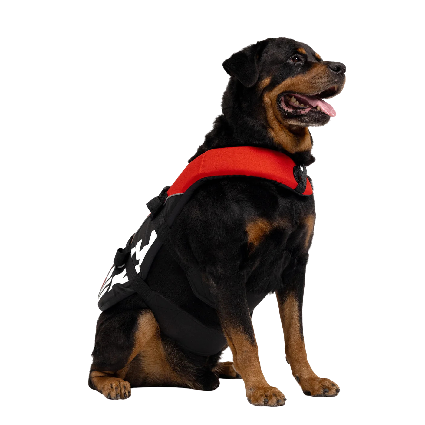 Gilet de sauvetage pour chiens