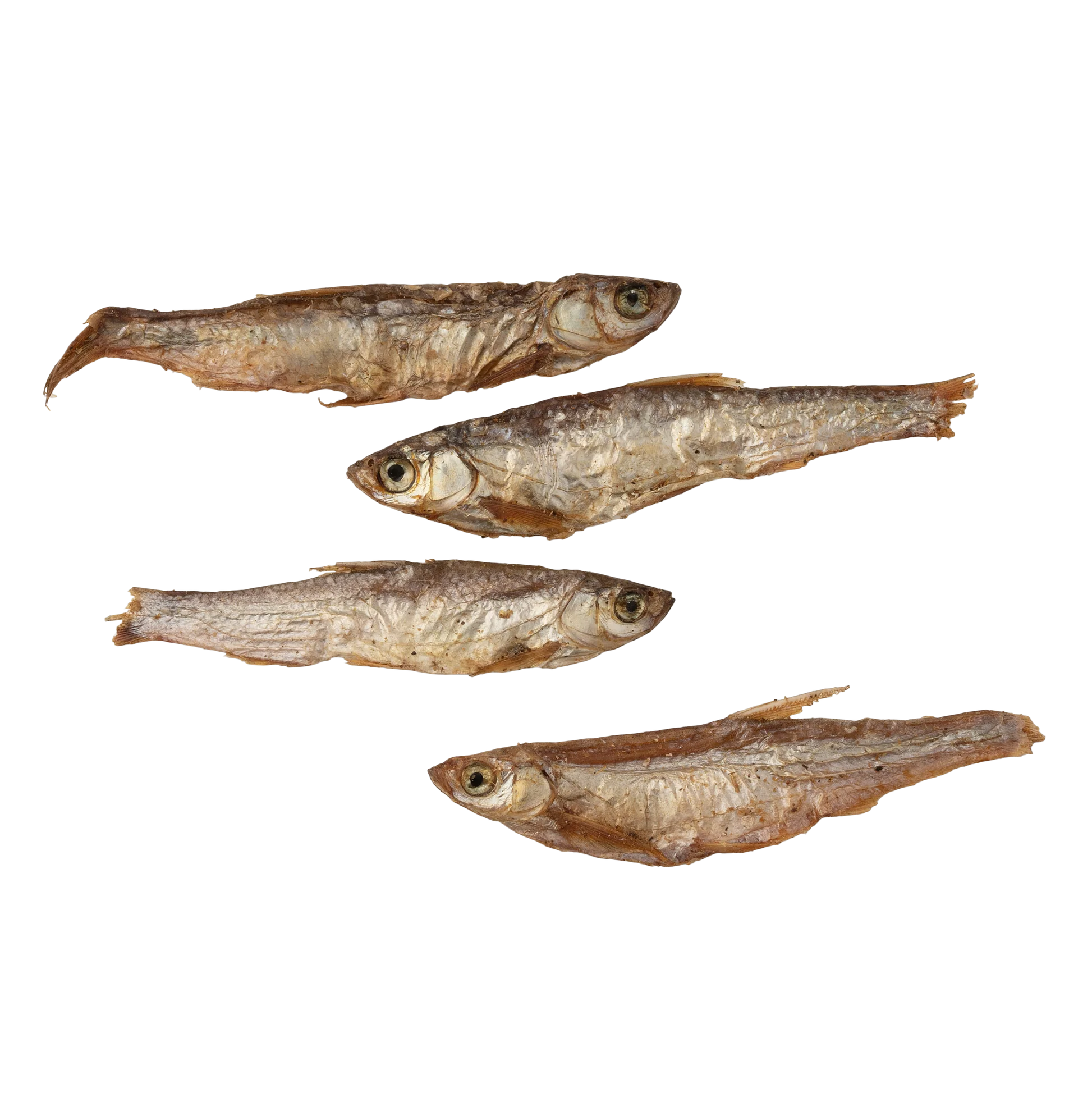 Petits poissons séchés pour chiens et chats