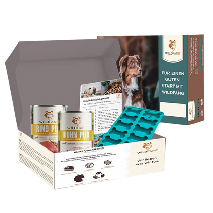 Coffret biscuits à cuire avec moule silicone