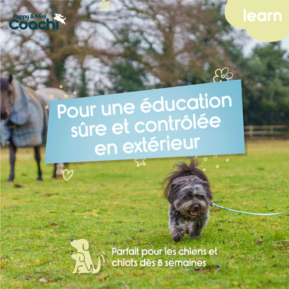 Longe imperméable pour chiots et chiens de petite taille