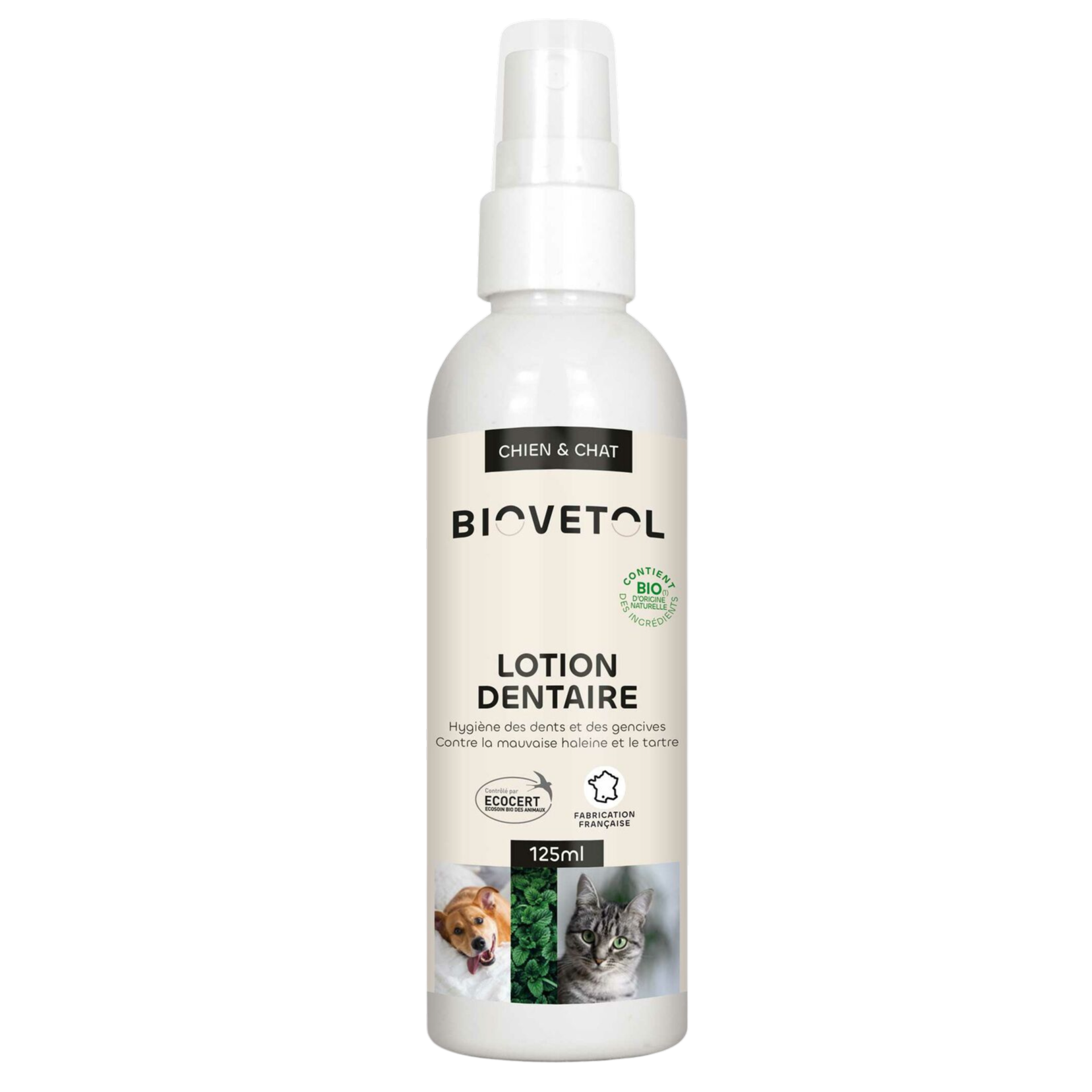 Lotion dentaire aux actifs végétaux bio