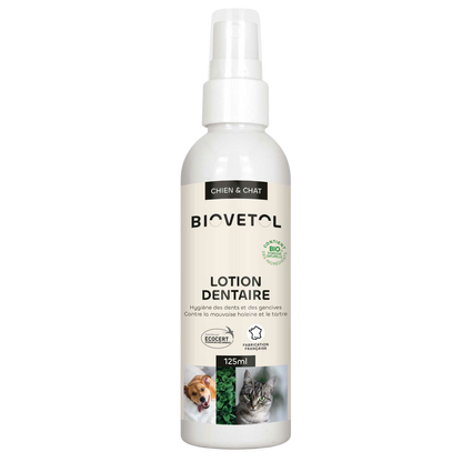 Lotion dentaire aux actifs végétaux bio