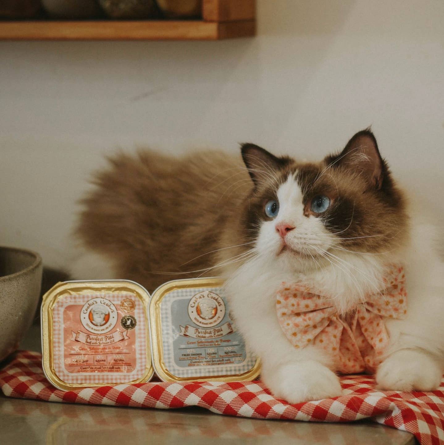 Pâté bœuf et huile de saumon