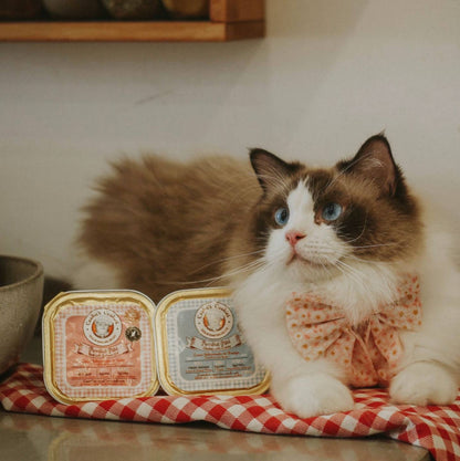 Pâté bœuf et huile de saumon