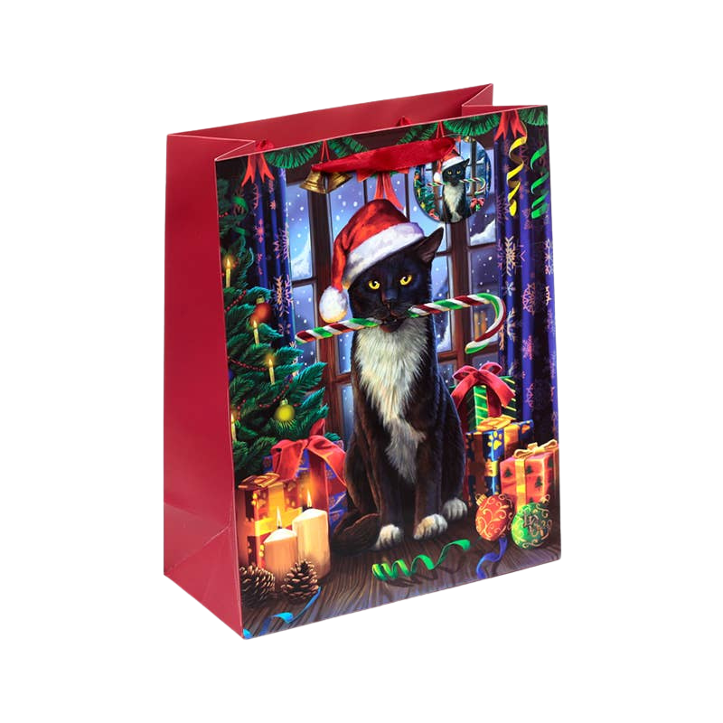 Grand sac cadeau de Noël à motif chat avec étiquette