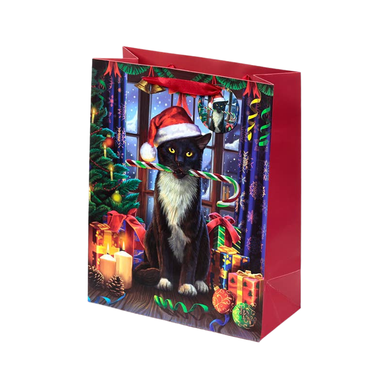 Grand sac cadeau de Noël à motif chat avec étiquette