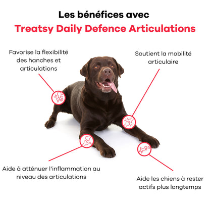Complément alimentaire articulations pour chiens
