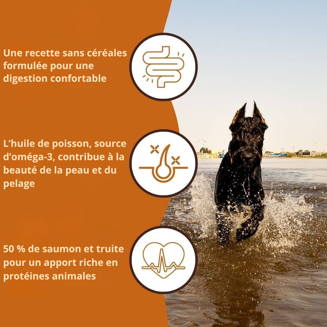 Croquettes au saumon et à la truite pour chiens adultes