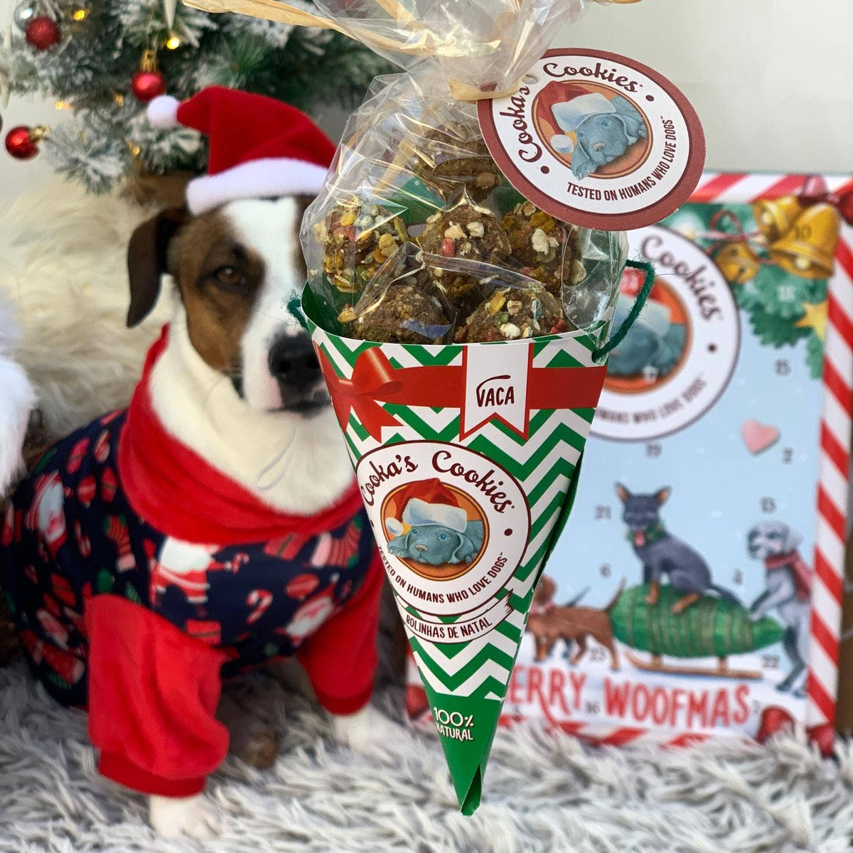 Cornet festif de friandises au bœuf pour chiens