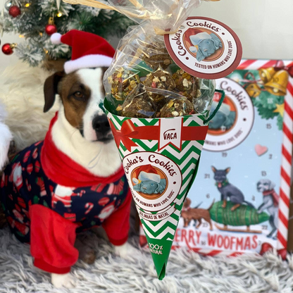 Cornet festif de friandises au bœuf pour chiens
