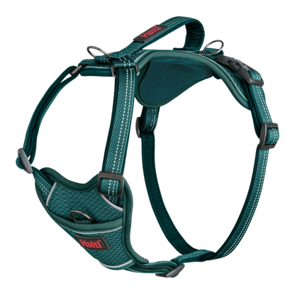 Harnais anatomique ajustable pour chiens