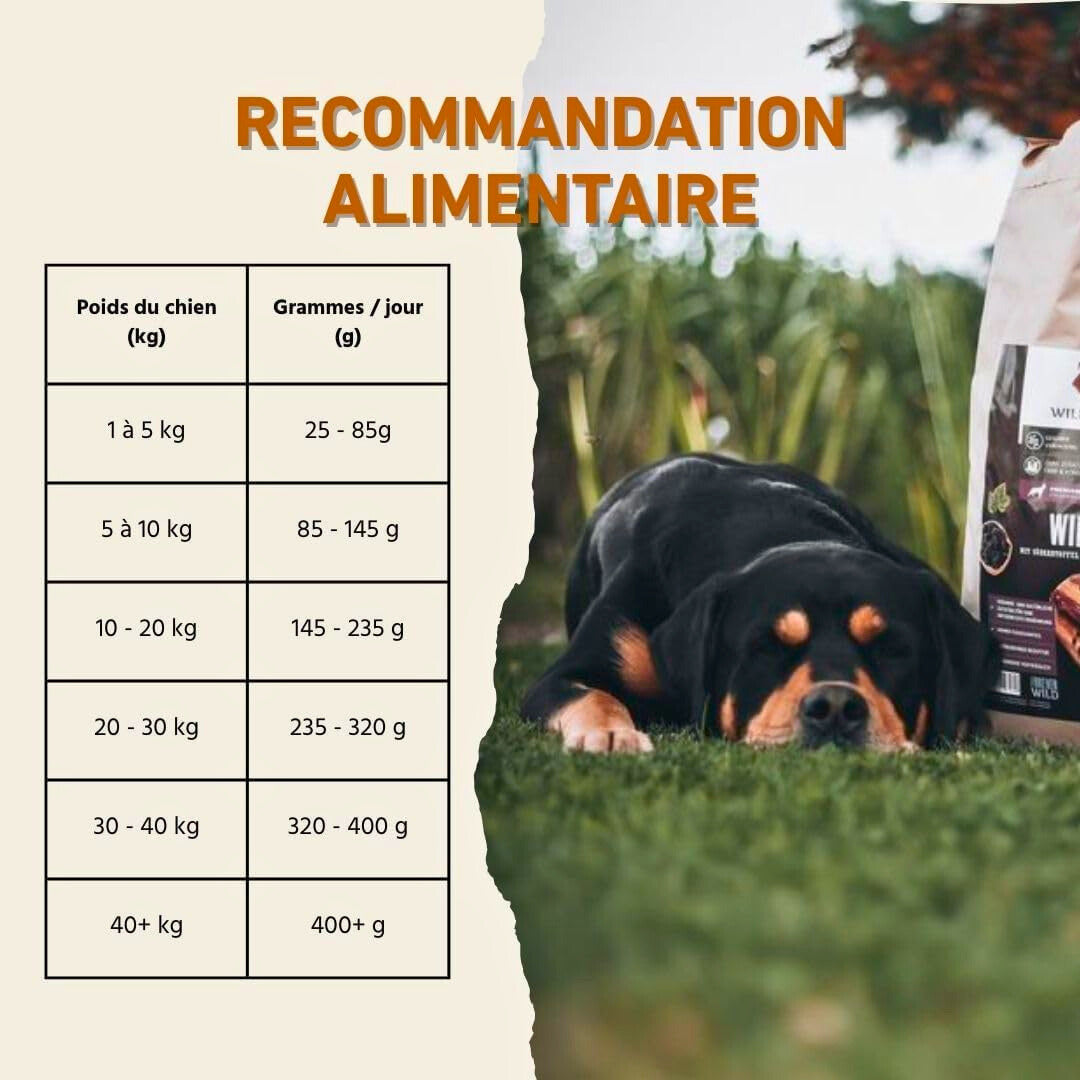 Croquettes au bœuf Angus pour chiens adultes