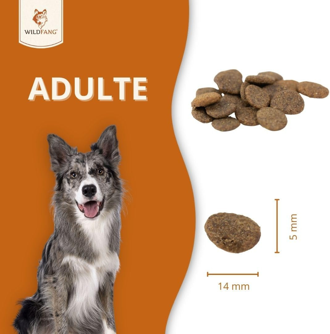 Croquettes au bœuf Angus pour chiens adultes