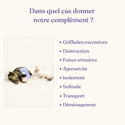 Complément alimentaire anti-stress pour chats