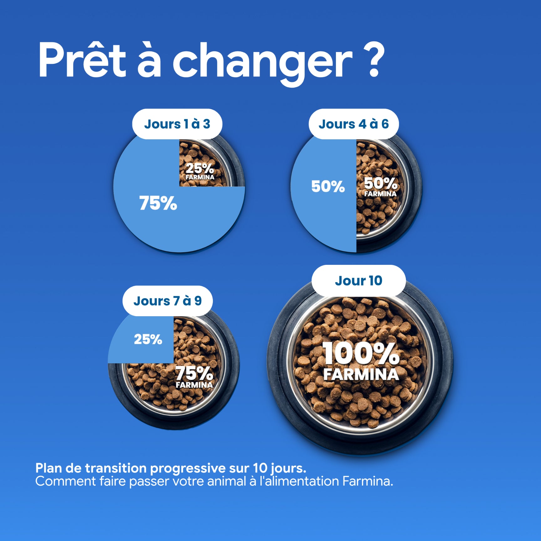 Croquettes gestion du poids agneau et quinoa pour chats adultes
